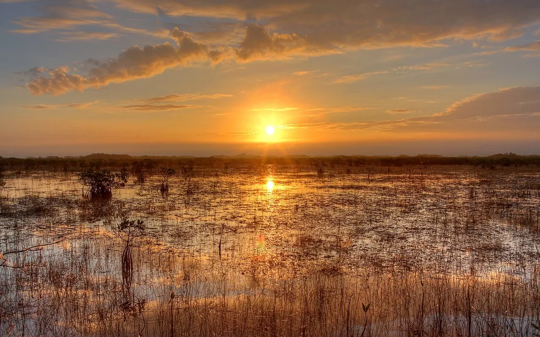 Sunset over the sawgrass of the Everglades