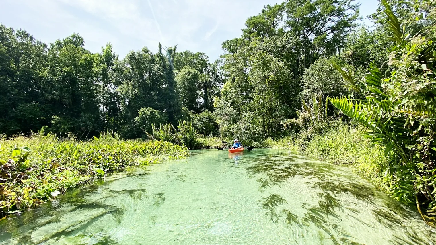 Un kayak en un río de agua clara, entre los árboles