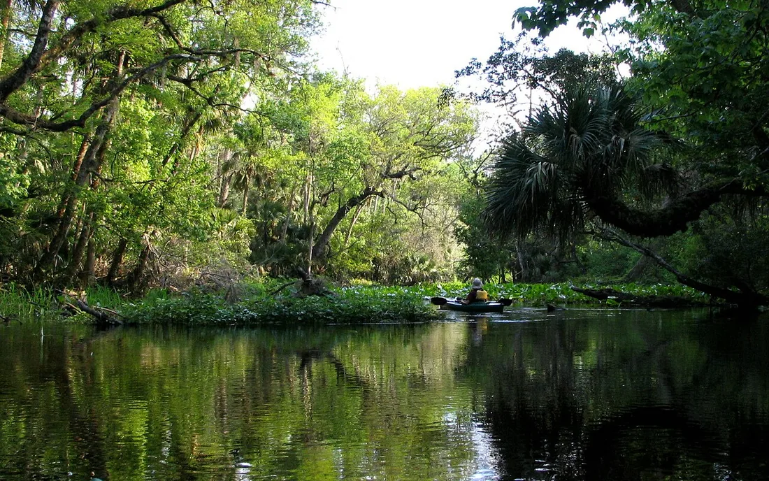 Río de aguas claras en el Wekiwa Springs State Park