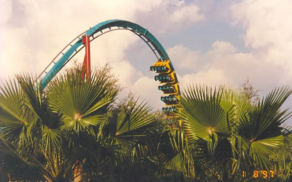 La montaña rusa de Busch Gardens entre las palmeras